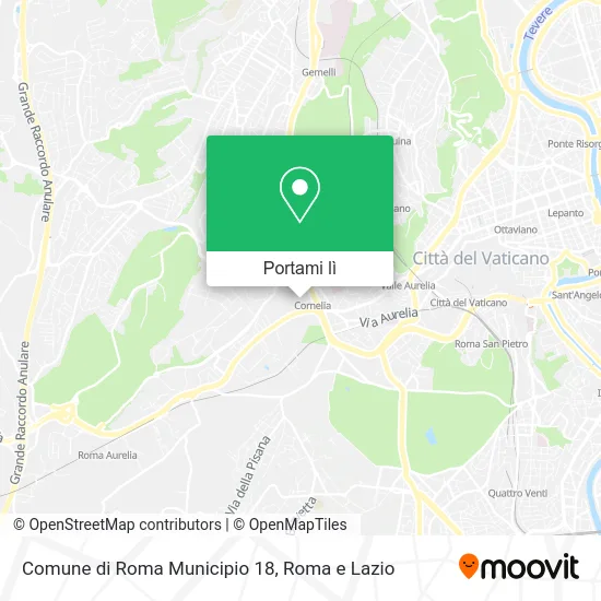 Mappa Comune di Roma Municipio 18