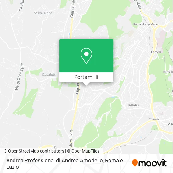 Mappa Andrea Professional di Andrea Amoriello