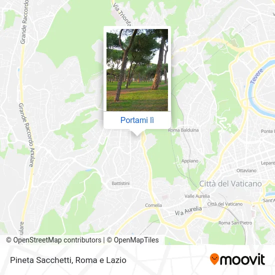 Mappa Pineta Sacchetti