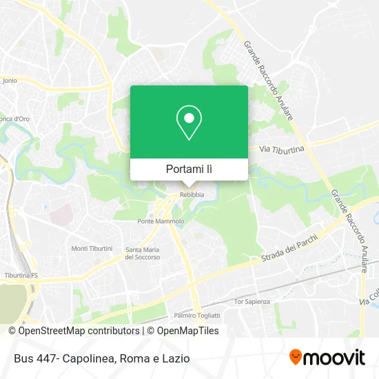 Mappa Bus 447- Capolinea