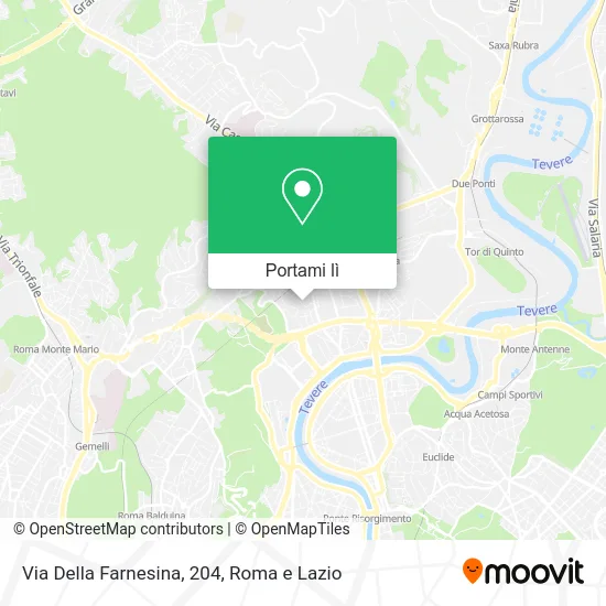 Mappa Via Della Farnesina, 204