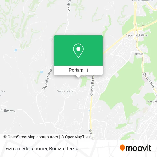 Mappa via remedello roma