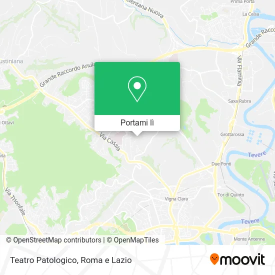 Mappa Teatro Patologico