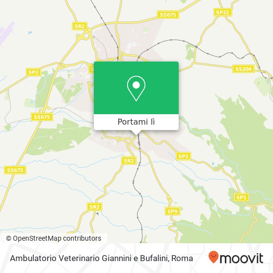 Mappa Ambulatorio Veterinario Giannini e Bufalini