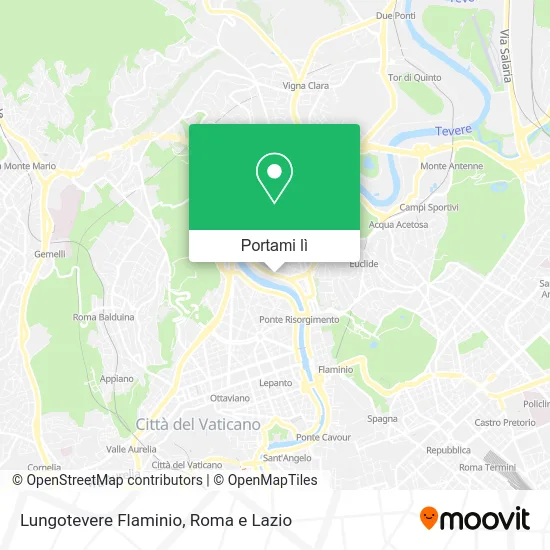 Mappa Lungotevere Flaminio