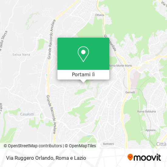Mappa Via Ruggero Orlando