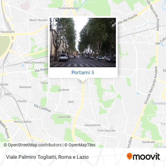 Mappa Viale Palmiro Togliatti