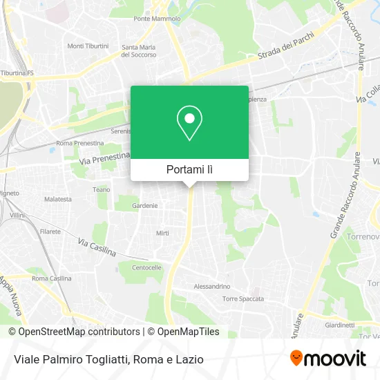 Mappa Viale Palmiro Togliatti