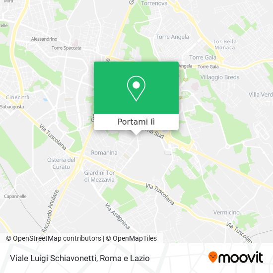 Mappa Viale Luigi Schiavonetti