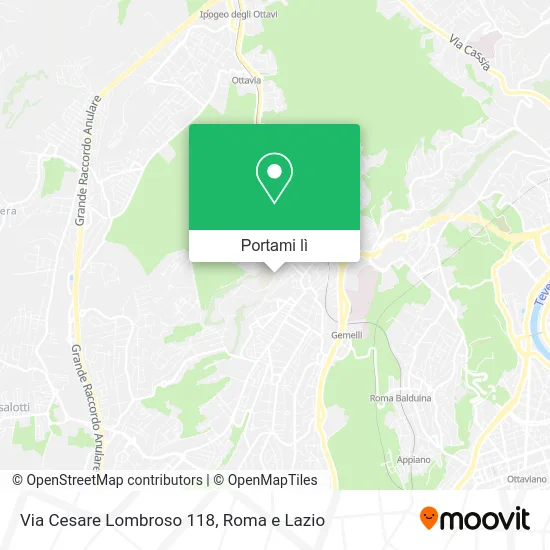 Mappa Via Cesare Lombroso 118