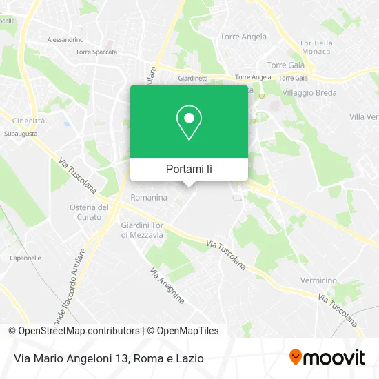 Mappa Via Mario Angeloni 13