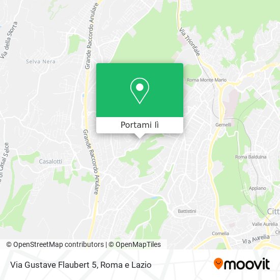 Mappa Via Gustave Flaubert 5
