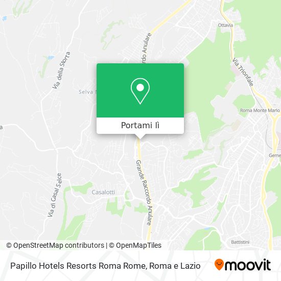 Mappa Papillo Hotels Resorts Roma Rome
