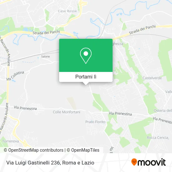 Mappa Via Luigi Gastinelli 236