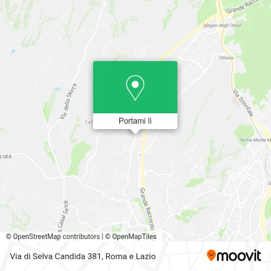 Mappa Via di Selva Candida  381