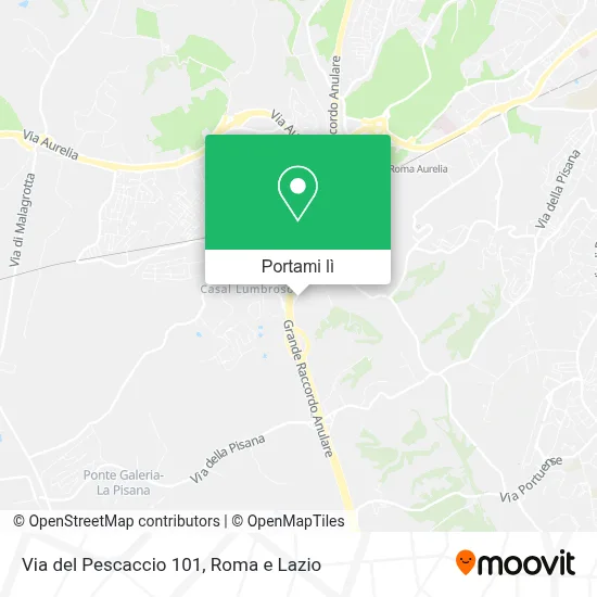 Mappa Via del Pescaccio 101