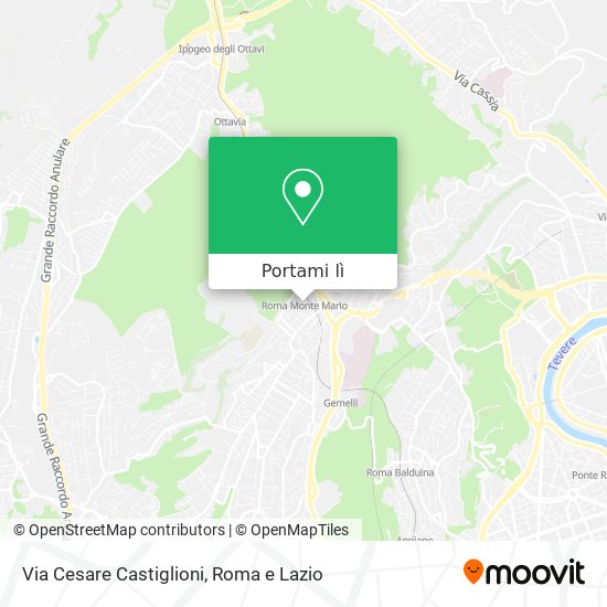 Mappa Via Cesare Castiglioni