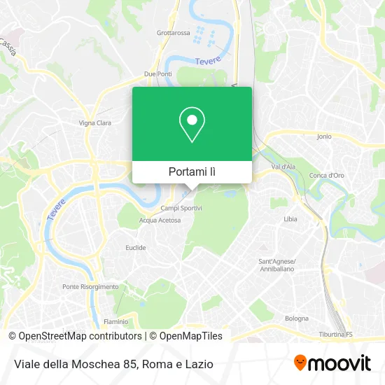 Mappa Viale della Moschea 85