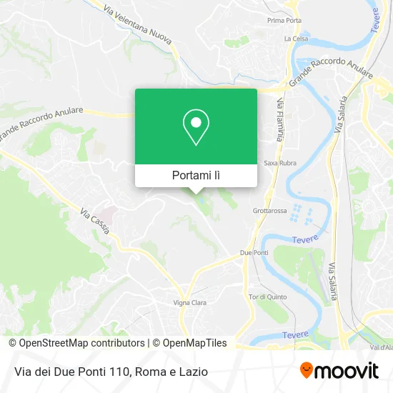 Mappa Via dei Due Ponti 110