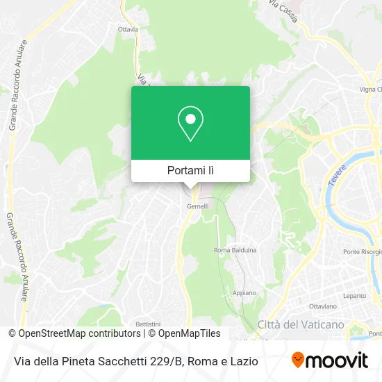 Mappa Via della Pineta Sacchetti 229 / B