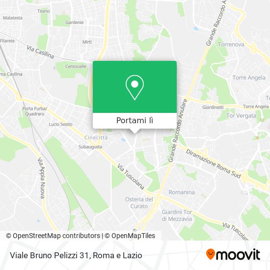 Mappa Viale Bruno Pelizzi 31