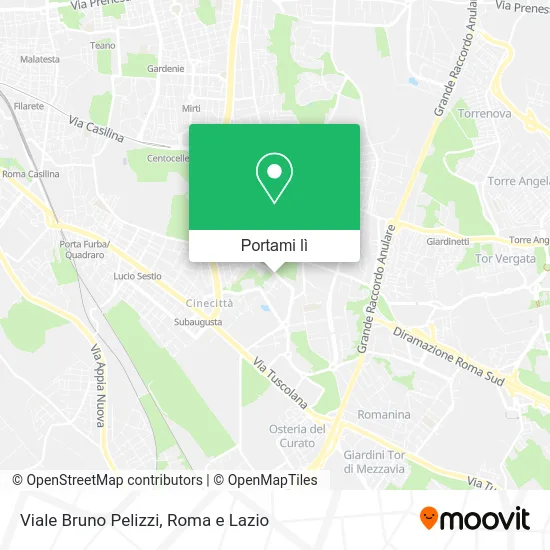 Mappa Viale Bruno Pelizzi