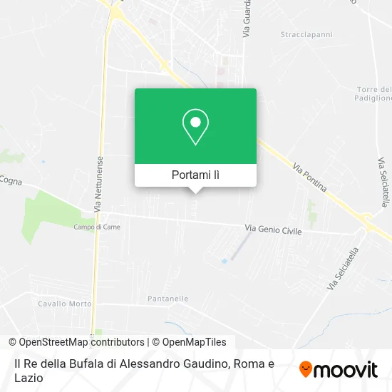 Mappa Il Re della Bufala di Alessandro Gaudino