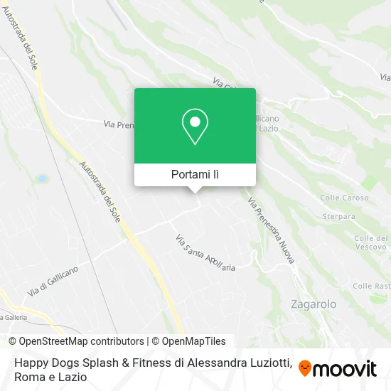 Mappa Happy Dogs Splash & Fitness di Alessandra Luziotti