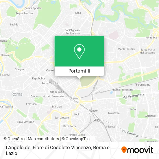 Mappa L'Angolo del Fiore di Cosoleto Vincenzo