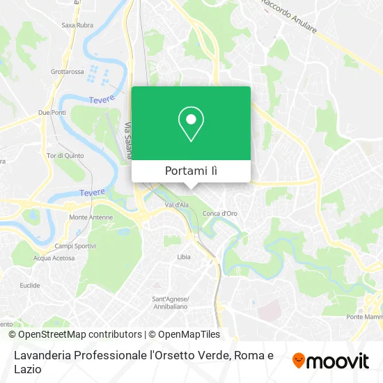 Mappa Lavanderia Professionale l'Orsetto Verde