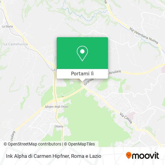 Mappa Ink Alpha di Carmen Hipfner