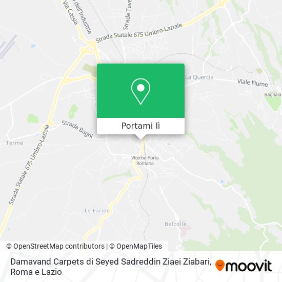 Mappa Damavand Carpets di Seyed Sadreddin Ziaei Ziabari