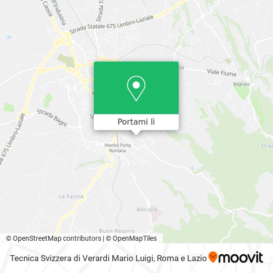 Mappa Tecnica Svizzera di Verardi Mario Luigi