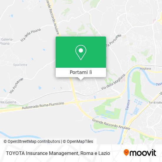 Mappa TOYOTA Insurance Management