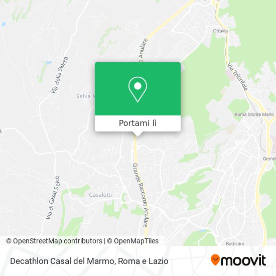 Mappa Decathlon Casal del Marmo