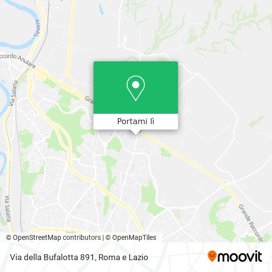 Mappa Via della Bufalotta 891