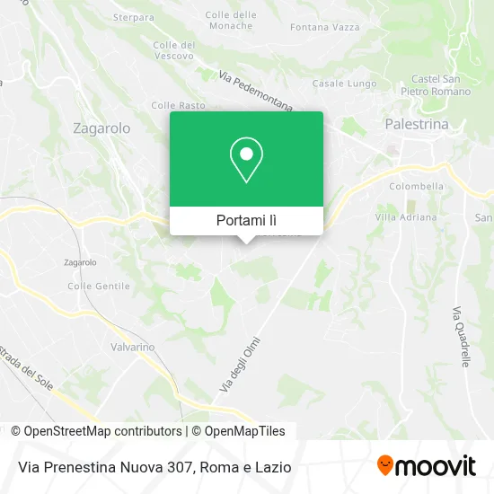 Mappa Via Prenestina Nuova 307