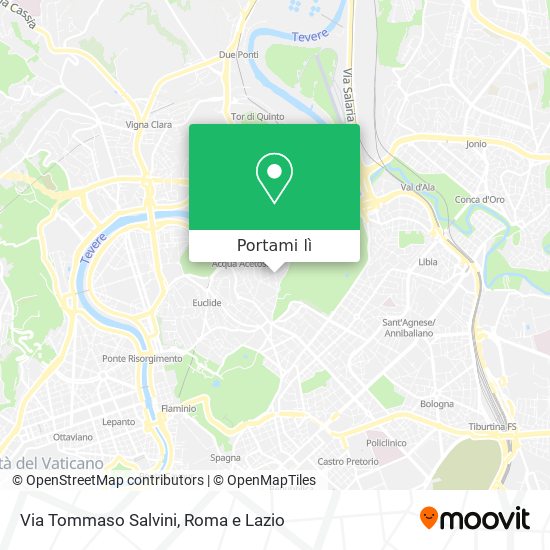 Mappa Via Tommaso Salvini