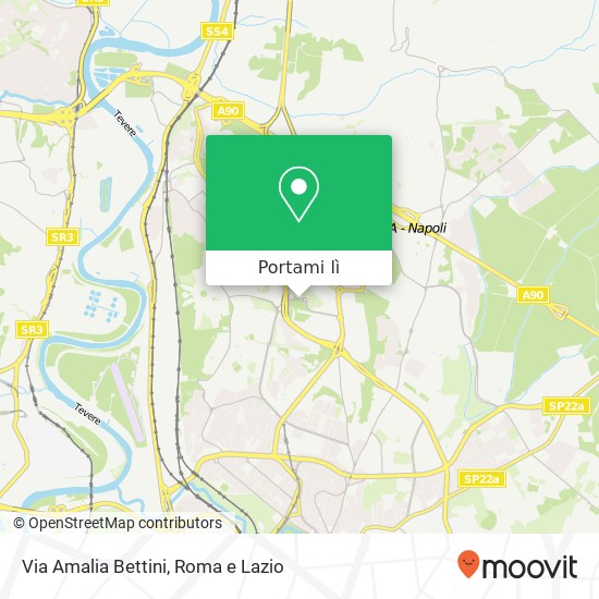 Mappa Via Amalia Bettini