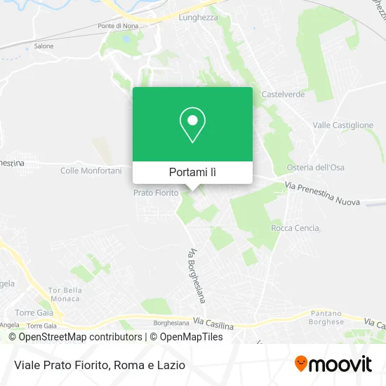 Mappa Viale Prato Fiorito