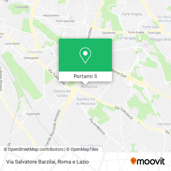 Mappa Via Salvatore Barzilai