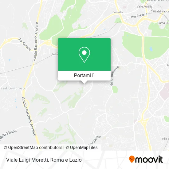 Mappa Viale Luigi Moretti