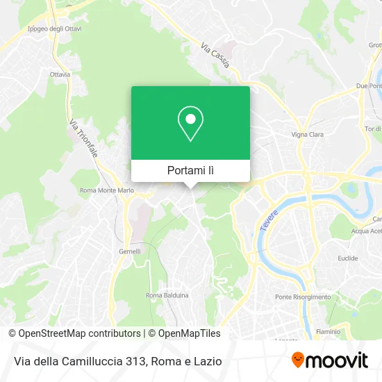 Mappa Via della Camilluccia 313