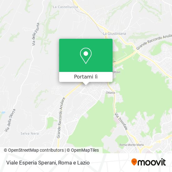 Mappa Viale Esperia Sperani