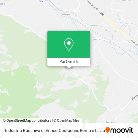 Mappa Industria Boschiva di Enrico Costantini