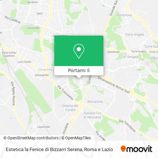 Mappa Estetica la Fenice di Bizzarri Serena