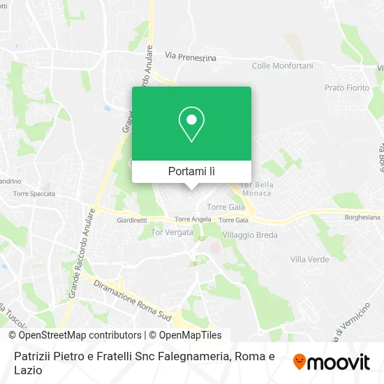 Mappa Patrizii Pietro e Fratelli Snc Falegnameria