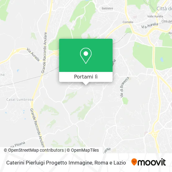 Mappa Caterini Pierluigi Progetto Immagine