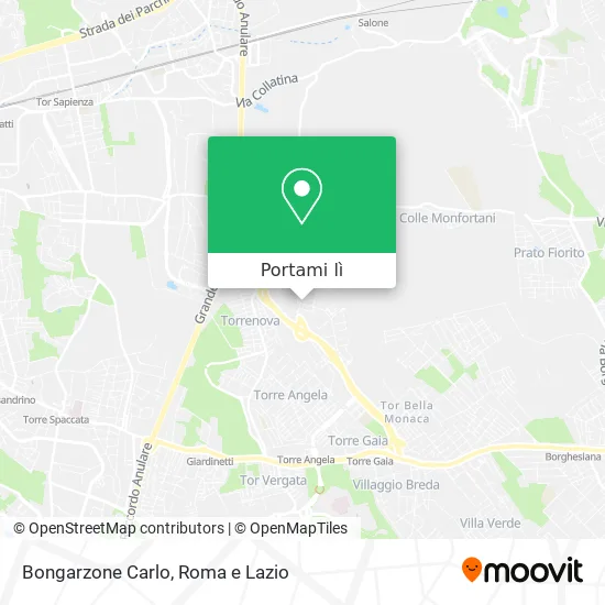 Mappa Bongarzone Carlo