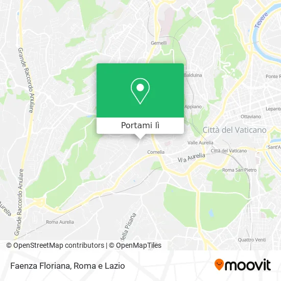 Mappa Faenza Floriana